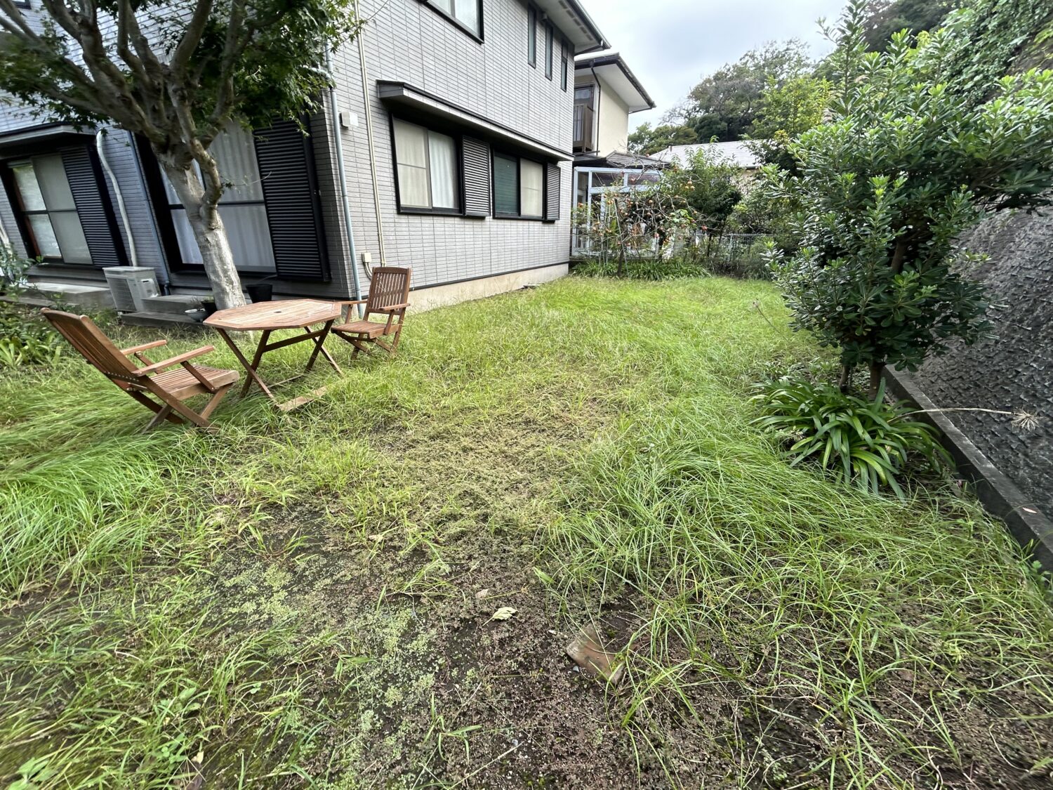 鎌倉市にてお庭のお手入れ